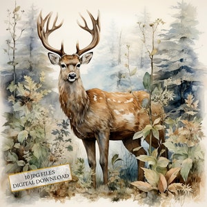 Deer in Snowy Woodland Scenery Clipart Bundle- 10 High Quality Watercolor JPGs- Christmas, Craft, Journaling, Scrapbook, Digital Download