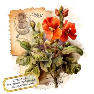 Paquete de imágenes prediseñadas de sellos postales antiguos: 10 PNG de acuarela de alta calidad. Ideal para manualidades, diarios, álbumes de recortes y descargas digitales.