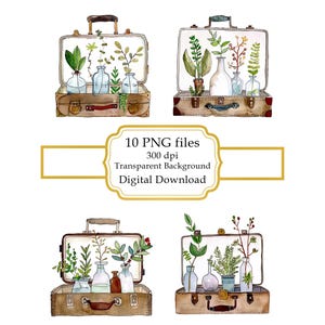 Maleta vintage abierta con plantas en jarrones de cristal (descarga digital)