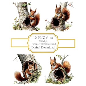 Squirrel by Tree Nest PNG Clipart Bundle- Digital Download