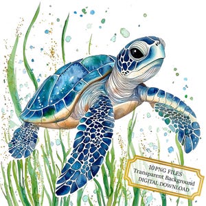 Tortue de mer bleue nageant entre les herbiers Clipart Bundle - 10 PNG aquarelles de haute qualité - créations artisanales, journalisation, album, téléchargement numérique
