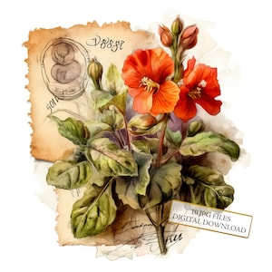 Paquete de imágenes prediseñadas de sellos postales antiguos: 10 archivos JPG de acuarela de alta calidad. Material para manualidades, diarios, álbumes de recortes y descarga digital.