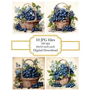 Paquete de imágenes prediseñadas JPG de cesta de arándanos con un estilo shabby chic (descarga digital)