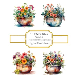 Spring Flowers in Pot PNG Clipart Bundle- Digital Download
