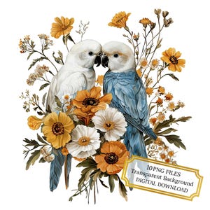 Paquete de imágenes prediseñadas de pareja de loros vintage entre flores: 10 PNG de acuarela de alta calidad para decoupage, diario, álbum de recortes y descarga digital.