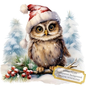 Bundle de cliparts adorable hibou de Noël - 10 PNG aquarelles de haute qualité - Art de Noël, tenue de journal, fournitures de scrapbooking, téléchargement numérique