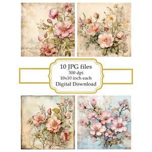 Paquete de imágenes prediseñadas JPG de rosas silvestres en papel envejecido Shabby Chic - Descarga digital