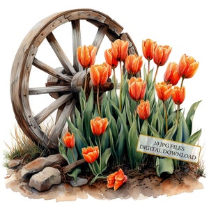 Tulpen geplant door een oude houten cartwheel clipartbundel-10 hoge kwaliteit aquarel jpgs-journaling, scrapbook levering, digitale download