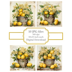 Shabby Chic Blumeneimer mit Zitronen JPG Clipart Bundle-Digital Download