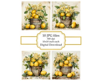 Shabby Chic blommig hink med citroner JPG Clipart-paket - digital nedladdning