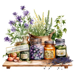 Kitchen Herbs in Jars Clipart Bundle 10 High Quality Watercolor Jpgs ...