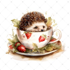 Cute Hedgehog in a Teacup Clipart Bundle- 10 High Quality Watercolor ...