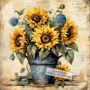 Shabby Chic Girasoli in Vaso di Fiori Clipart Bundle- 10 JPG ad Acquerello di Alta Qualità- Artigianato, Journaling, Forniture per Album, Download Digitale