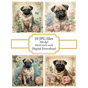 Shabby Chic Pug with Flowers JPG Clipart Bundle- Digital Download