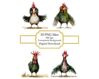 Funny Adorable Chicken PNG Clipart Bundle- Digital Download