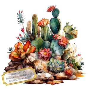 Cacti Growing Out Of Rocks Clipart Bundle- 10 High Quality Watercolor PNGs- Western, Desert, Journaling, Scrapbook Supply, Digital Download