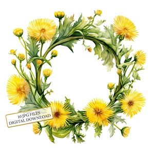 Dandelion Flower Wreath Clipart Bundle - 10 JPG di acquerelli di alta qualità - Arte della natura, diario, fornitura di album, download digitale