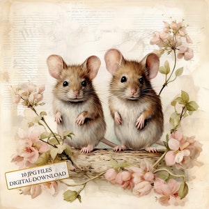 Shabby Chic muizen met bloemen clipartbundel-10 hoge kwaliteit aquarel JPGs-Craft, journaling, scrapbook levering, digitale download