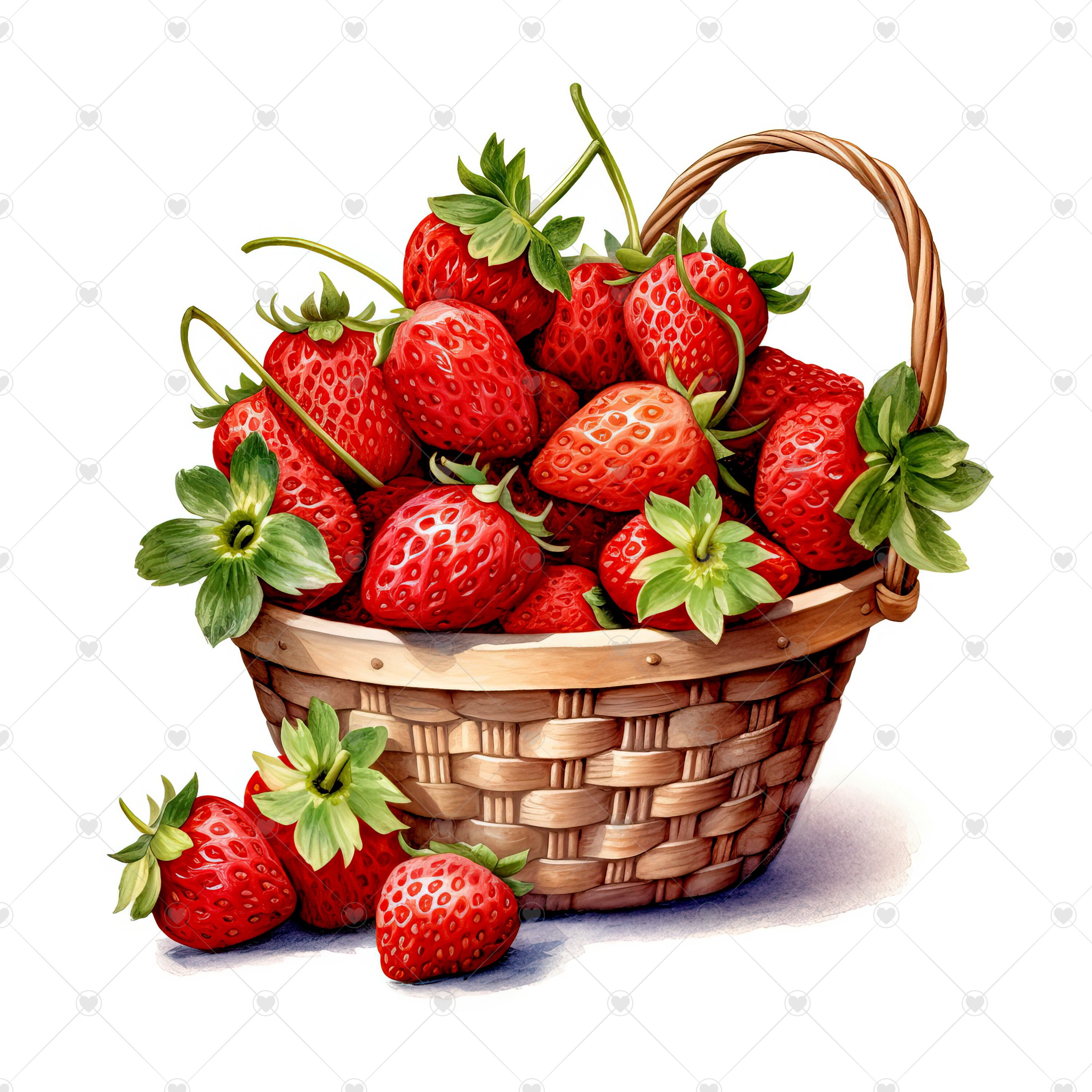 Strawberry Basket Clipart Bundle 10 High Quality Watercolor Etsy