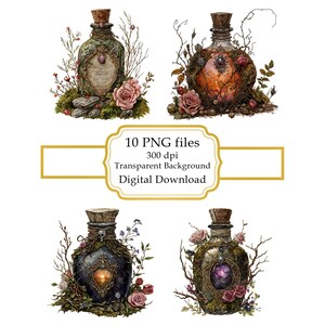 Naturhäxans trolldryck PNG Clipart-paket - Digital nedladdning