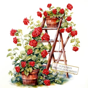 Escalera de madera con rosas rojas (10 imágenes en acuarela de alta calidad) - Manualidades, diarios basura, álbumes de recortes, descarga digital