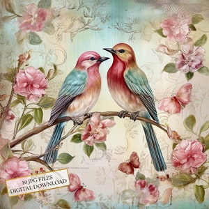 Shabby Chic Valentine Liebe Vögel mit Blumen Clipart Bundle-10 hochwertige Aquarell JPGs-Journaling, Scrapbook Versorgung, digitaler Download