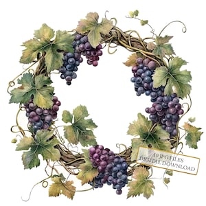 Paquete de imágenes prediseñadas de coronas de vid: 10 imágenes en acuarela de alta calidad (JPG). Arte natural, diario, scrapbooking y descarga digital.