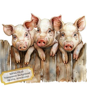 Niedliche kleine Schweinchen, die vom Zaun spähen Clipart Bundle - 10 hochwertige Aquarell PNGs - Tier, Journaling, Scrapbook, digitaler Download