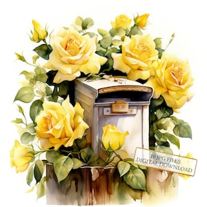 Cassetta postale con rose gialle Clipart Bundle - 10 JPG ad acquerello di alta qualità - Artigianato, diario spazzatura, album, download digitale