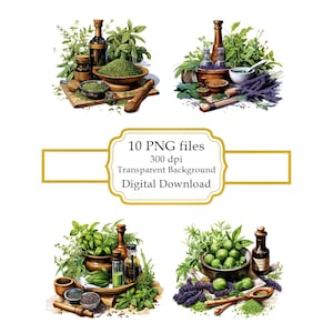 Mortel och stöt med örter PNG Clipart-paket - Digital nedladdning