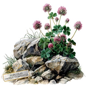 Bundle de cliparts trèfles - 10 JPG aquarelles de haute qualité - Art de la nature, tenue d'un journal, fourniture de scrapbooking, téléchargement numérique