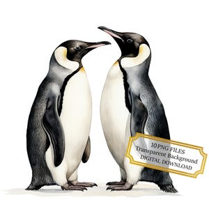 Conjunto de clipart de casal de pinguins apaixonados - 10 PNGs de aquarela de alta qualidade - Arte de amor, artesanato, diário de lixo, álbum de recortes, download digital