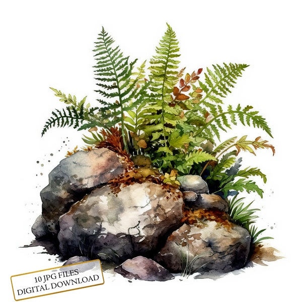 Fern Growing Out Of Rocks Clipart Bundle- 10 High Quality Watercolor JPGs- Nature Art, Journaling, Scrapbook Supply, Digital Download