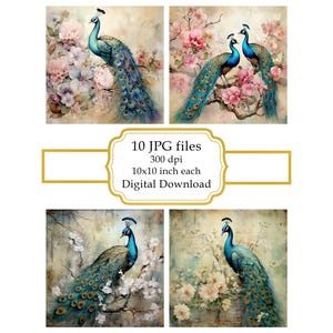 Shabby Chic Peacock on Flowering Branches JPG Clipart Bundle- Digital Download