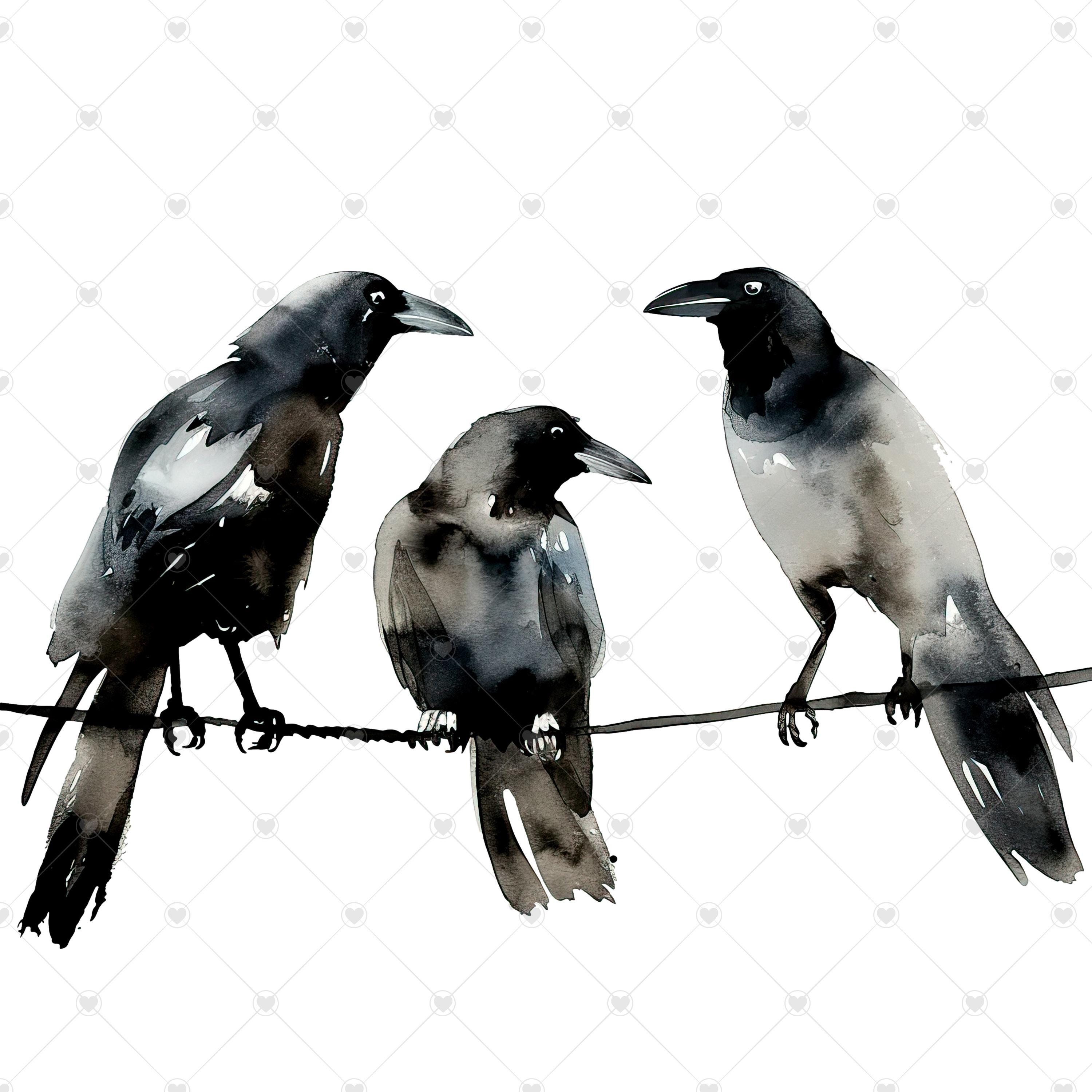 Three Crows on a Cable PNG Clipart Bundle- Digital Download - Etsy
