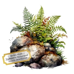 Fougère qui pousse hors des rochers Clipart Bundle - 10 PNG aquarelles de haute qualité - Nature, artisanat, journalisation, fournitures de scrapbooking, téléchargement numérique