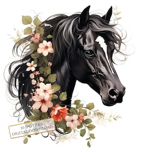 Cheval noir avec des fleurs dans la crinière Clipart Bundle - 10 JPG aquarelles de haute qualité - Cottage Art, journalisation, album, téléchargement numérique
