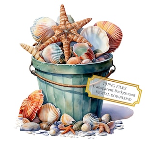 Pacchetto di clipart di conchiglie in un secchio - 10 PNG acquerellati di alta qualità - Arte marina estiva, artigianato, journaling, forniture per album, download digitale