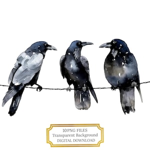 Three Crows on a Cable Clipart Bundle- 10 High Quality Watercolor PNGs- Bird, Crafting, Journaling, Scrapbook Supply, Digital Download