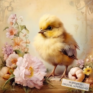 Poussin shabby chic avec fleurs Clipart Bundle - 10 JPG aquarelles de haute qualité - créations artisanales, journalisation, fournitures de scrapbooking, téléchargement numérique