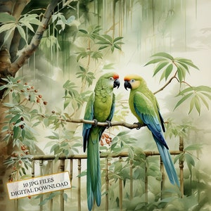 Loros en un recinto de bambú (10 imágenes en acuarela de alta calidad) - Manualidades, scrapbooking, descarga digital