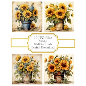 Paquete de imágenes prediseñadas JPG de girasoles en maceta de estilo shabby chic - Descarga digital