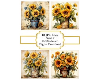 Shabby Chic eingemachte Sonnenblumen JPG Clipart Bundle-Digital Download