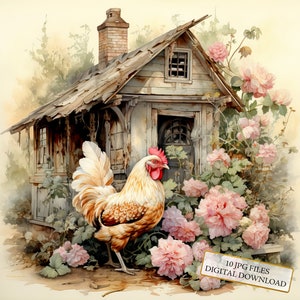 Shabby chique bloemen kippenhok clipart bundel-10 hoge kwaliteit aquarel jpg's-dierlijke kunst, journaling, scrapbook levering, digitale download