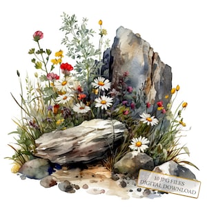 Bundle de cliparts fleurs sauvages poussant hors des rochers - 10 JPG aquarelles de haute qualité - Art de la prairie, journalisation, fourniture de scrapbooking, téléchargement numérique
