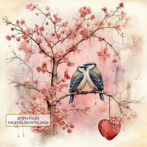 Love Birds Shabby Chic Saint-Valentin avec coeurs Clipart Bundle - 10 JPG aquarelles de haute qualité - journalisation, fournitures de scrapbooking, téléchargement numérique