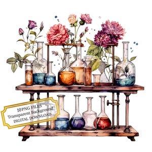 Conjunto de clipart de vidraria química com flores - 10 PNGs de aquarela de alta qualidade - Ciência, Diário, Scrapbooking, Download digital
