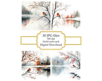 Red Robin on a Branch in Winter Scenery JPG Clipart Bundle- Digital Download