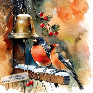 Deux bouvreuils par une cloche Clipart Bundle - 10 JPG aquarelles de haute qualité - hiver, journalisation, fournitures de scrapbooking, téléchargement numérique