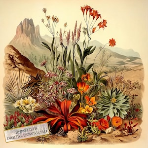Vintage botanische planten verouderd papier clipart bundel-10 hoge kwaliteit aquarel jpg's-decoupage, journaling, plakboek, digitale download